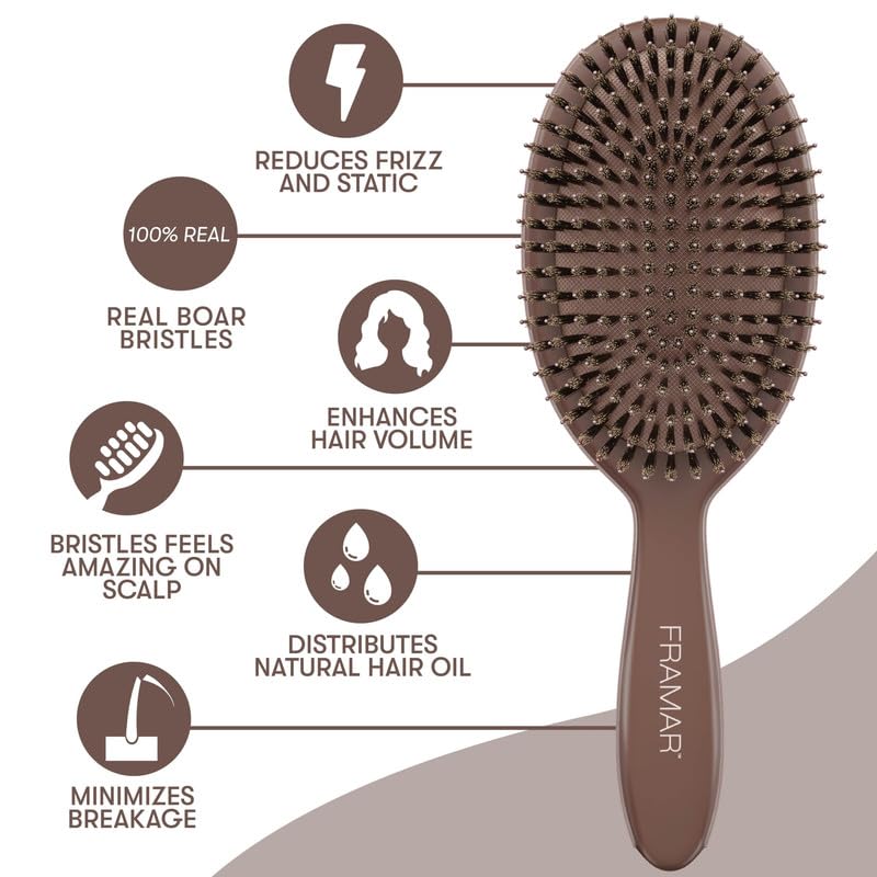 FRAMAR Soft Boar Bristle Hair Brush For Women, Boars Hair Brush For Women | Boar Brush For Fine Hair, Hairbrush For Fine Hair, Soft Bristle Brush For Slick Back, Volume and Shine, Chocolate