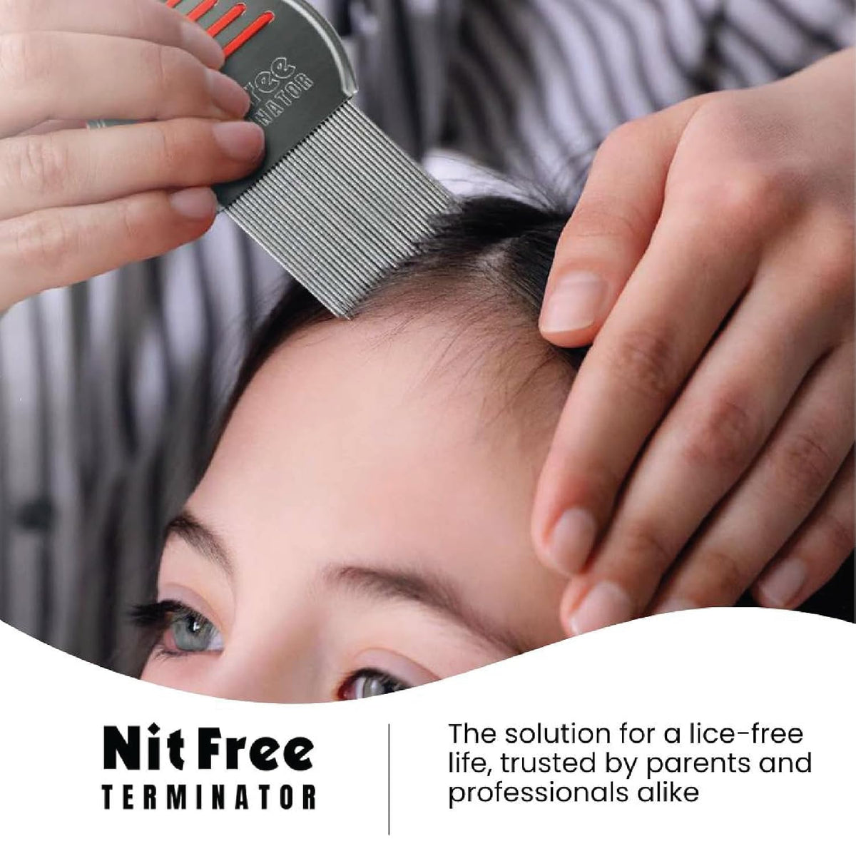 Head Lice Comb - (Color May Vary) Pack of 2